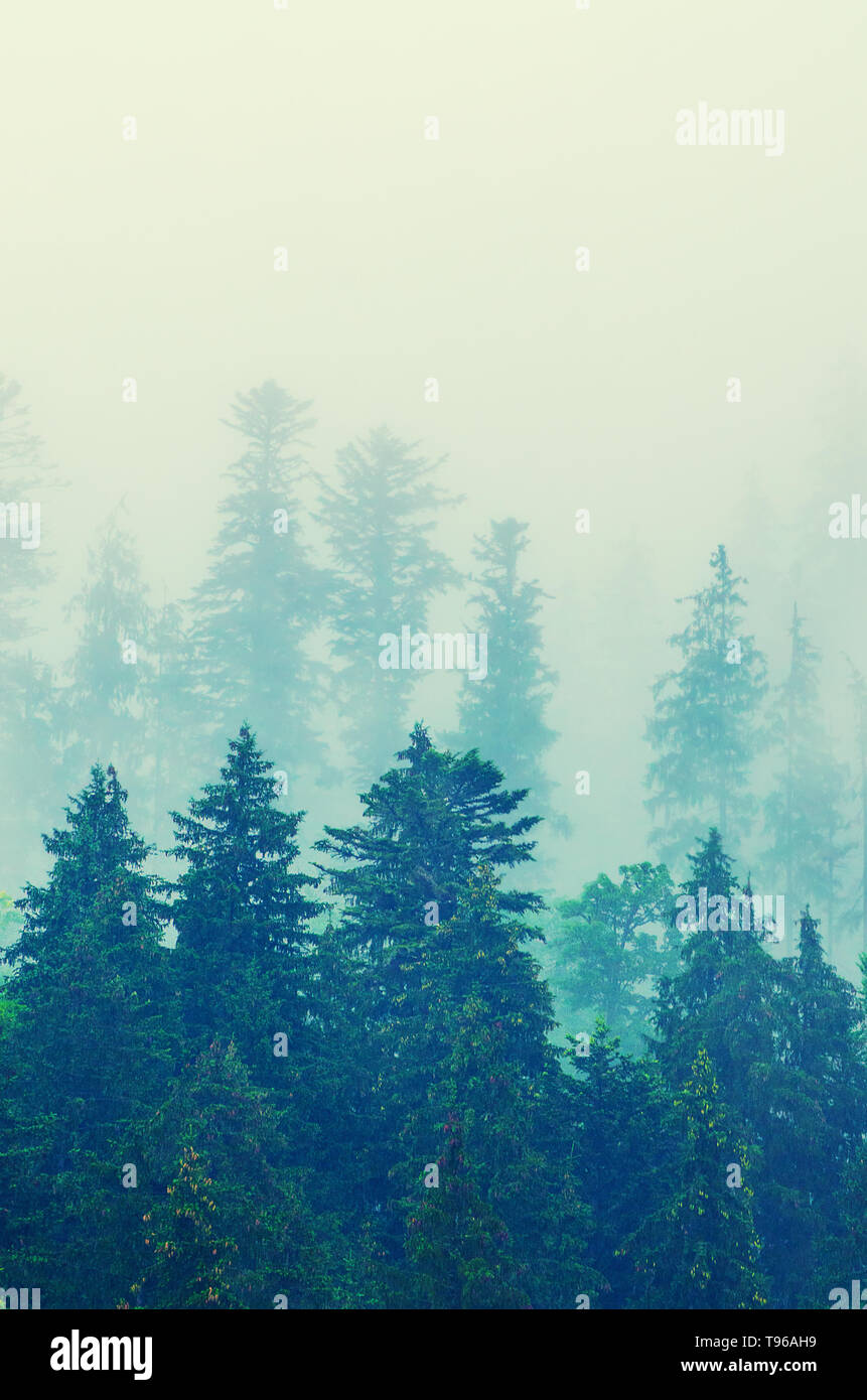 Misty mountain landscape Stock Photo - Alamy