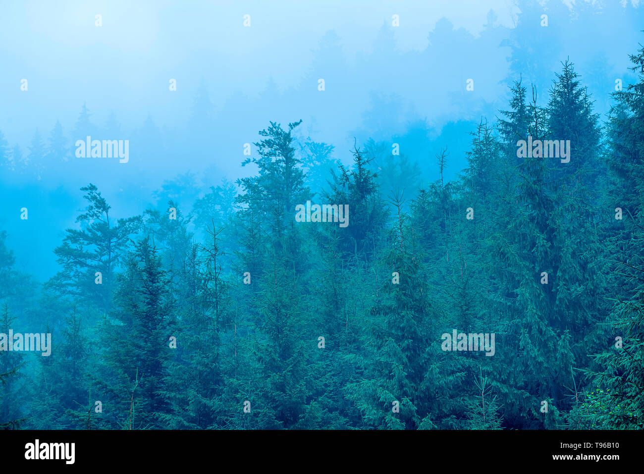 Misty mountain landscape Stock Photo - Alamy