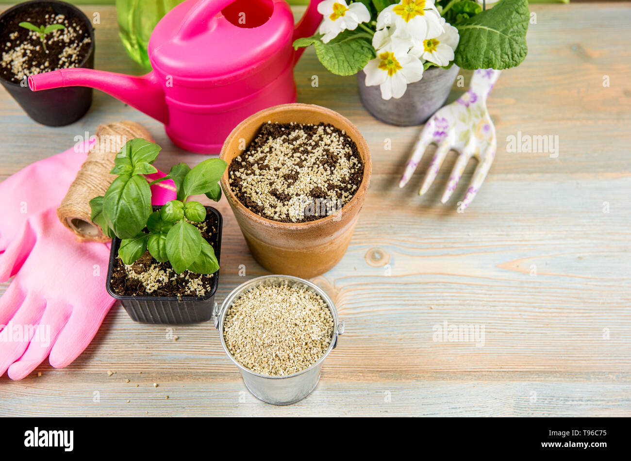 Mixing vermiculite granules pellets with black gardening soil improves