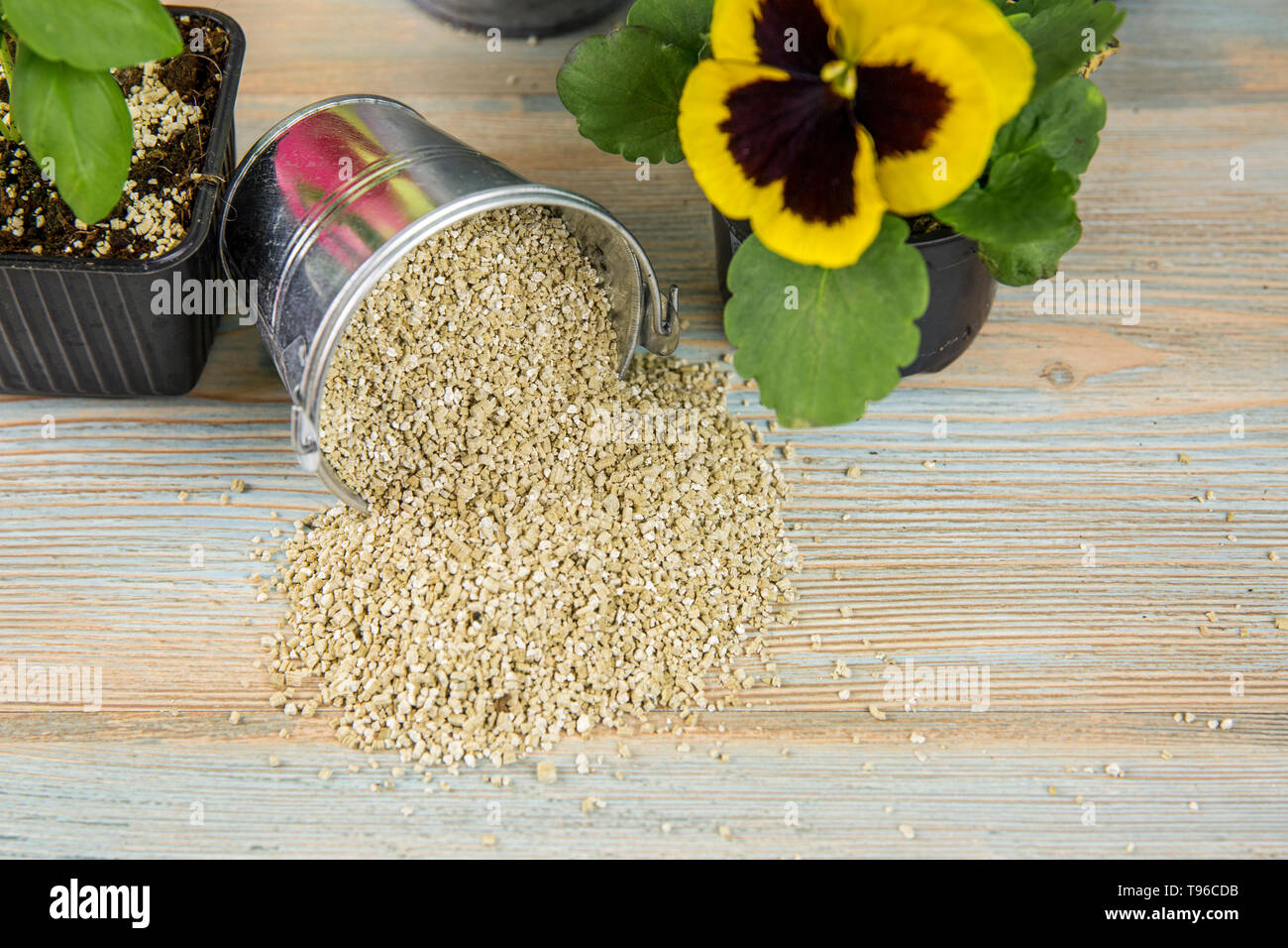 Mixing vermiculite granules pellets with black gardening soil improves