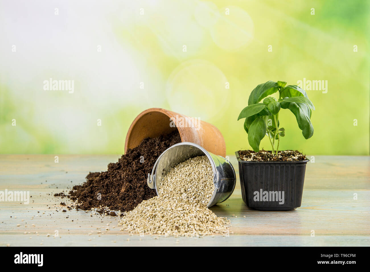 Mixing vermiculite granules pellets with black gardening soil improves
