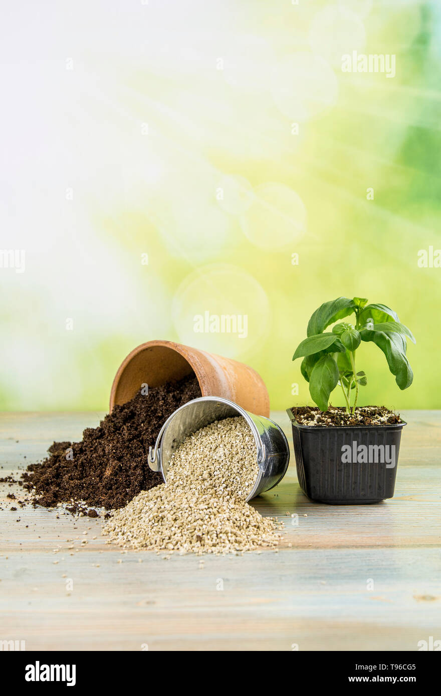 Mixing vermiculite granules pellets with black gardening soil improves