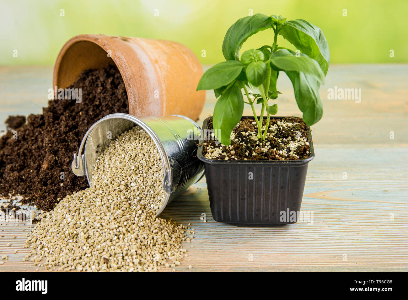 Mixing vermiculite granules pellets with black gardening soil improves