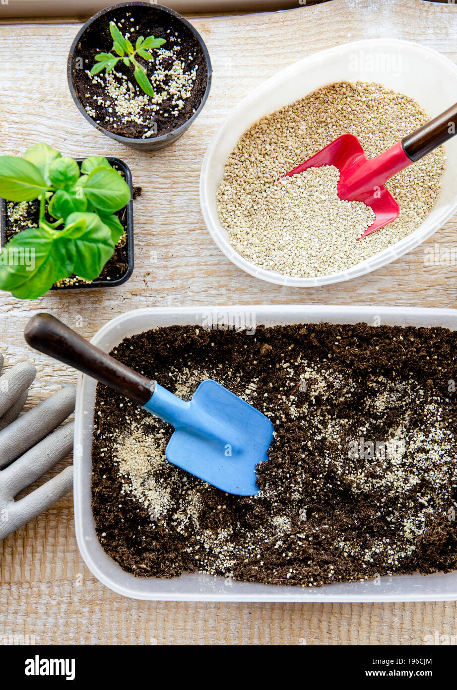 Mixing vermiculite granules pellets with black gardening soil improves water retention, airflow