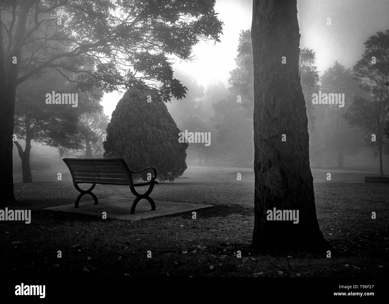 Black and white park bench hi-res stock photography and images - Alamy