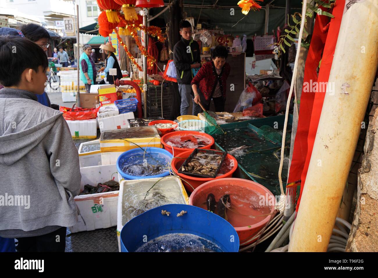 A fresh seafood stall in Tai O fishing village. Stock Photo