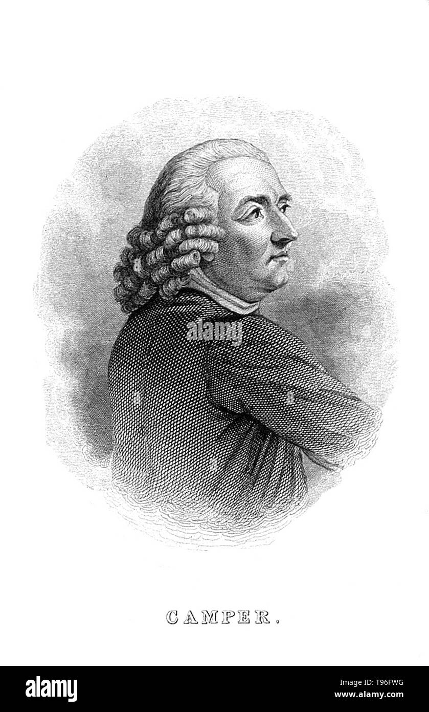 Petrus Camper (May 11, 1722 - April 7, 1789) was a Dutch physician, anatomist, physiologist, midwife, zoologist, anthropologist, paleontologist and a naturalist. He studied the orangutan, the rhinoceros, and the skull of a mosasaur, which he believed was a whale.  Line engraving by William Home Lizars, 1840. No artist credited, undated. Stock Photo