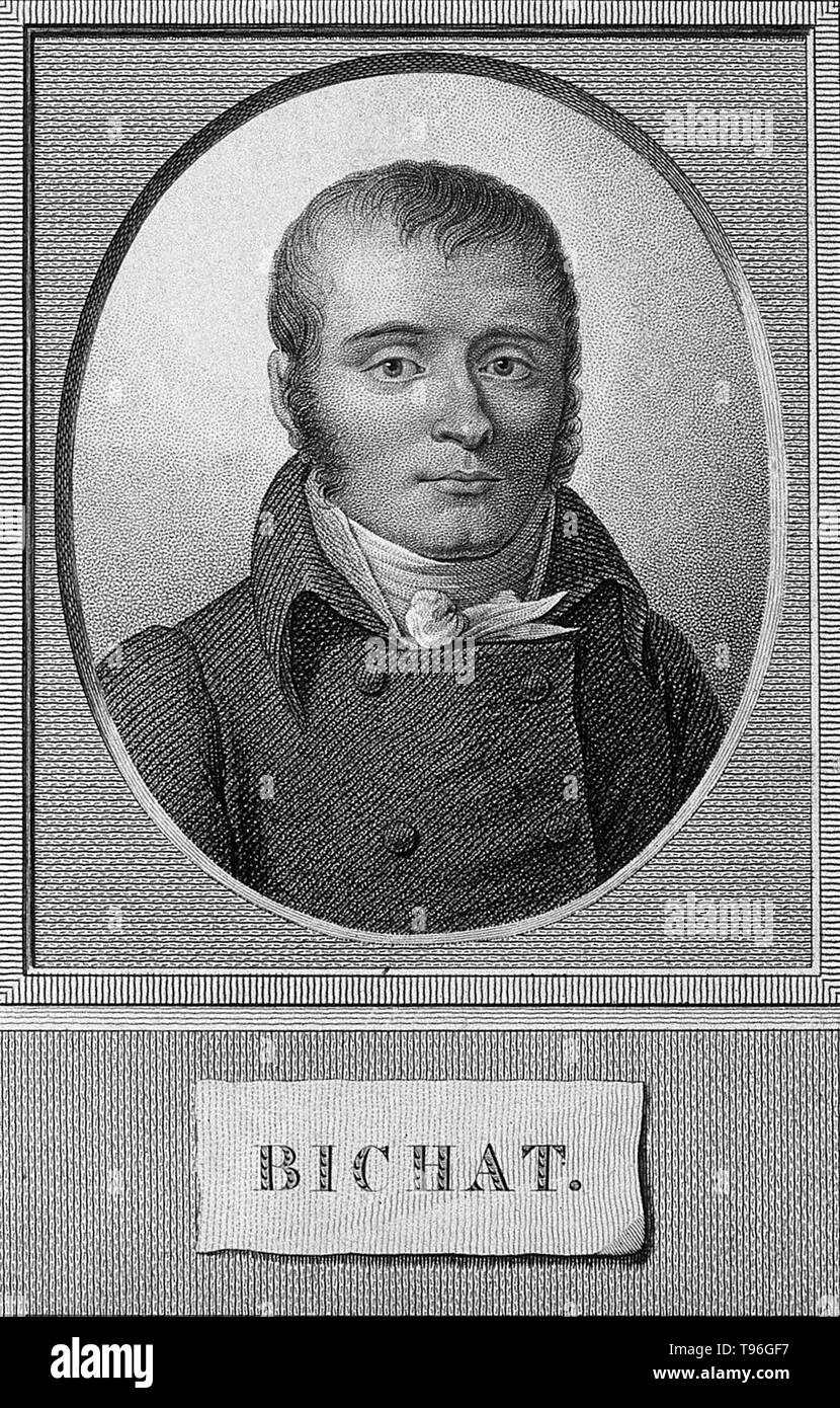Marie François Xavier Bichat (November 14,  1771 - July 22, 1802) was a French anatomist and physiologist. Bichat is best remembered as the father of modern histology and pathology. Bichat's main contribution to medicine and physiology was his perception that the diverse body of organs contain particular tissues or membranes, and he described 21 such membranes, including connective, muscle, and nerve tissue. Stock Photo
