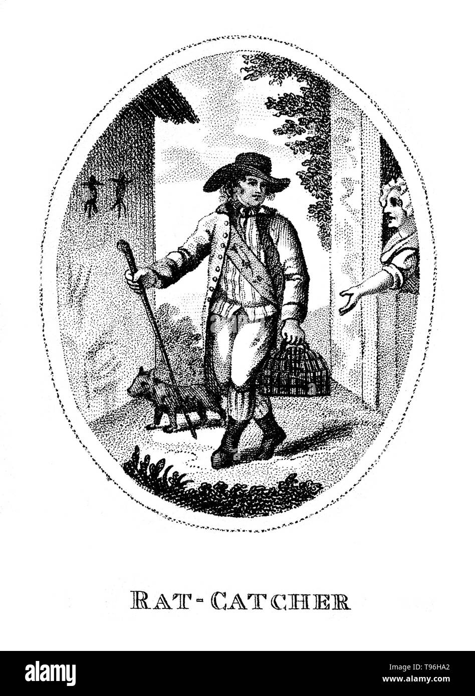 Woman rat catcher hi-res stock photography and images - Alamy