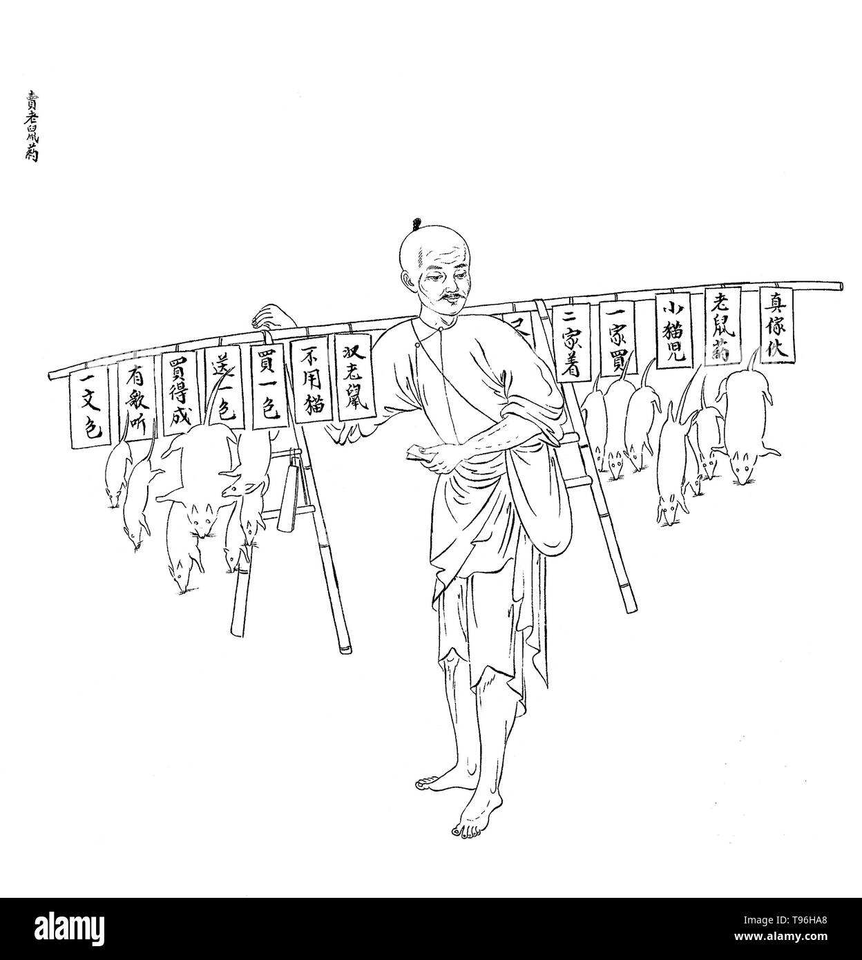Chinese rat-catcher. A rat-catcher is a person who practices rat-catching as a professional form of pest control. Keeping the rat population under control was practiced in Europe to prevent the spread of diseases, most notoriously the Black Plague, and to prevent damage to food supplies. In modern developed countries, such a professional is otherwise known as a pest control operative or pest technician. Rat-catchers may attempt to capture rats themselves, or release ratters, animals trained or naturally skilled at catching them. They may also set a rat trap or other traps. Modern methods of ra Stock Photo