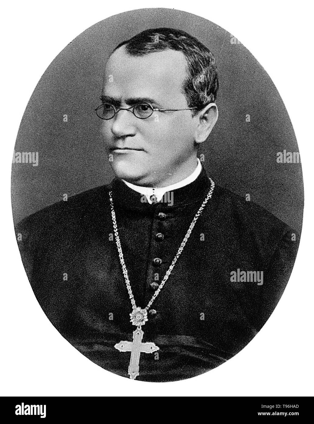Gregor Johann Mendel (July 20, 1822 - January 6, 1884) was an Austrian scientist and Augustinian friar who gained posthumous fame as the founder of the new science of genetics. Mendel conducted experiments in a monastery in the 1860's with garden peas, working out the law of heredity based on ''factors'' (genes) that decide which characteristics are passed from parent to offspring. His documented work was entitled: ''Experiments with Plant Hybrids''. Stock Photo