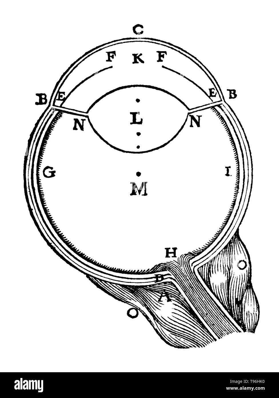 Human eye. La dioptrique (Dioptrique, Optics, or Dioptrics), is a short treatise published in 1637 included in one of the Essays written with Discourse on the Method by Rene Descartes. In this essay Descartes uses various models to understand the properties of light. This essay is known as Descartes' greatest contribution to optics, as it is the first publication of the Law of Refraction. René Descartes (March 31, 1596 - February 11, 1650) was a French mathematician, philosopher and physiologist. Stock Photo