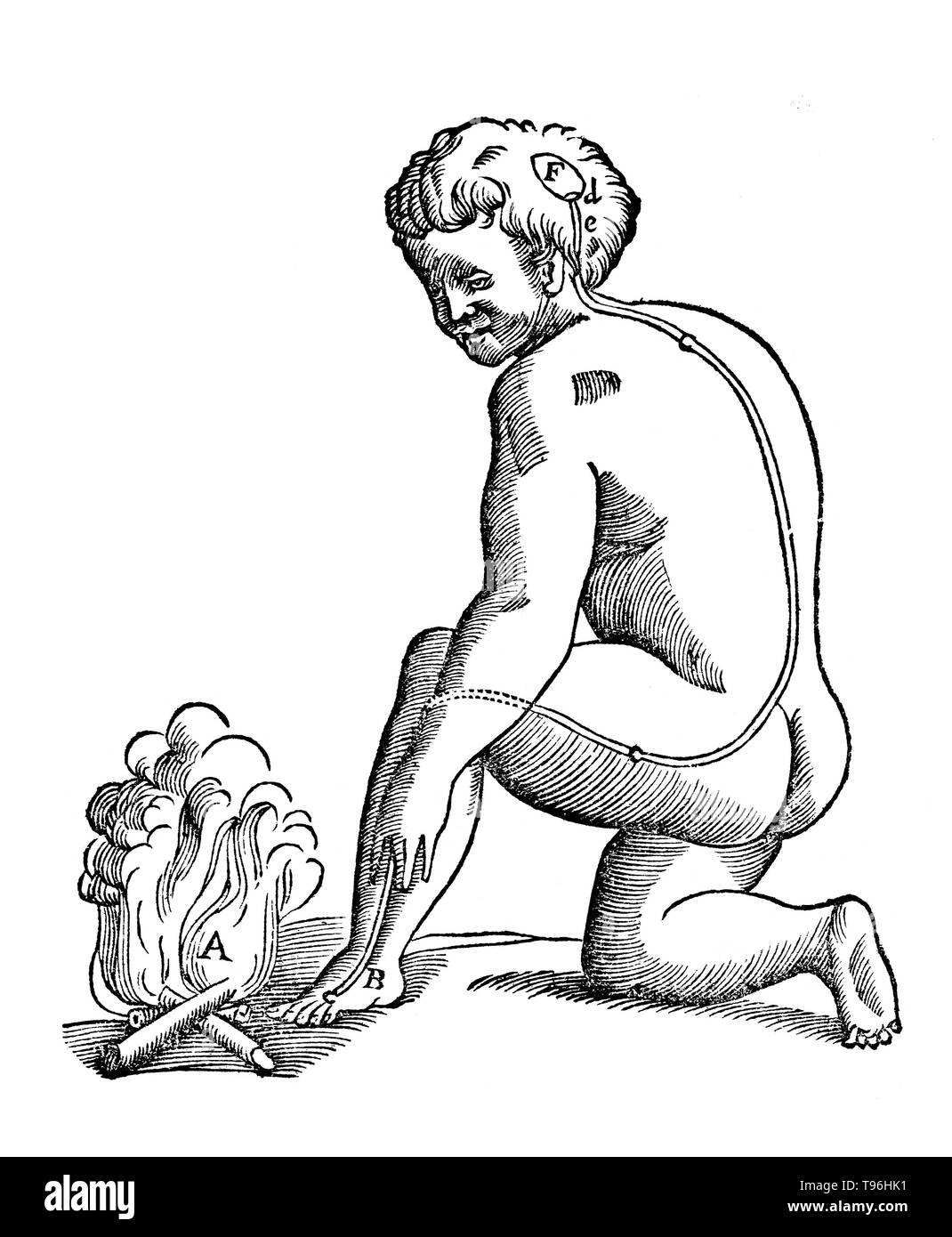 Model of pain perception. Descartes originally planned to publish De homine in 1633, but hearing of Galileo’s condemnation by the Church, he became concerned for his own safety and refused to have it printed. The first edition of this work appeared 12 years after his death. René Descartes (March 31, 1596 - February 11, 1650) was a French mathematician, philosopher and physiologist. Stock Photo