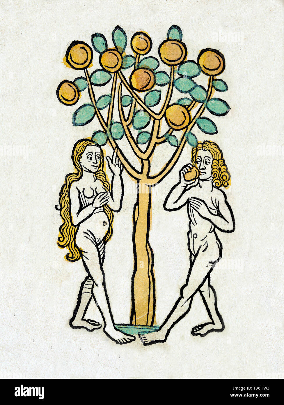 Adam and Eve, according to the creation myth of Abrahamic religions, were the first man and woman. The story of Adam and Eve is central to the belief that God created human beings to live in a Paradise on earth, although they fell away from that state and formed the present world full of suffering and injustice. It provides much of the scriptural basis for the doctrine of Original Sin, an important belief in Christianity, although not shared by Judaism or Islam. Stock Photo