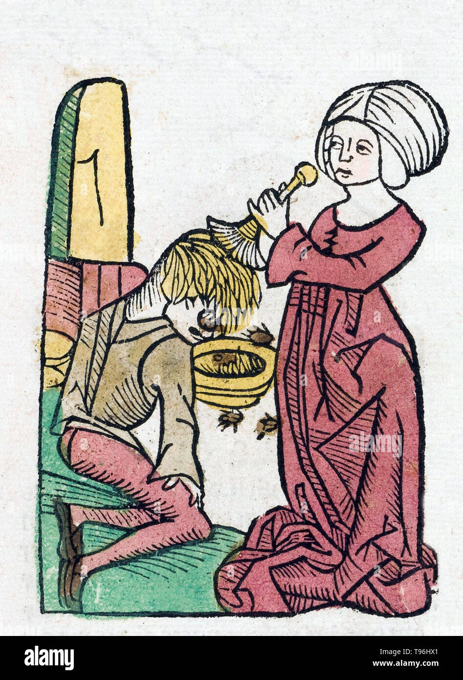 Delousing The Treatment Of Human Head Lice Infestation Is A