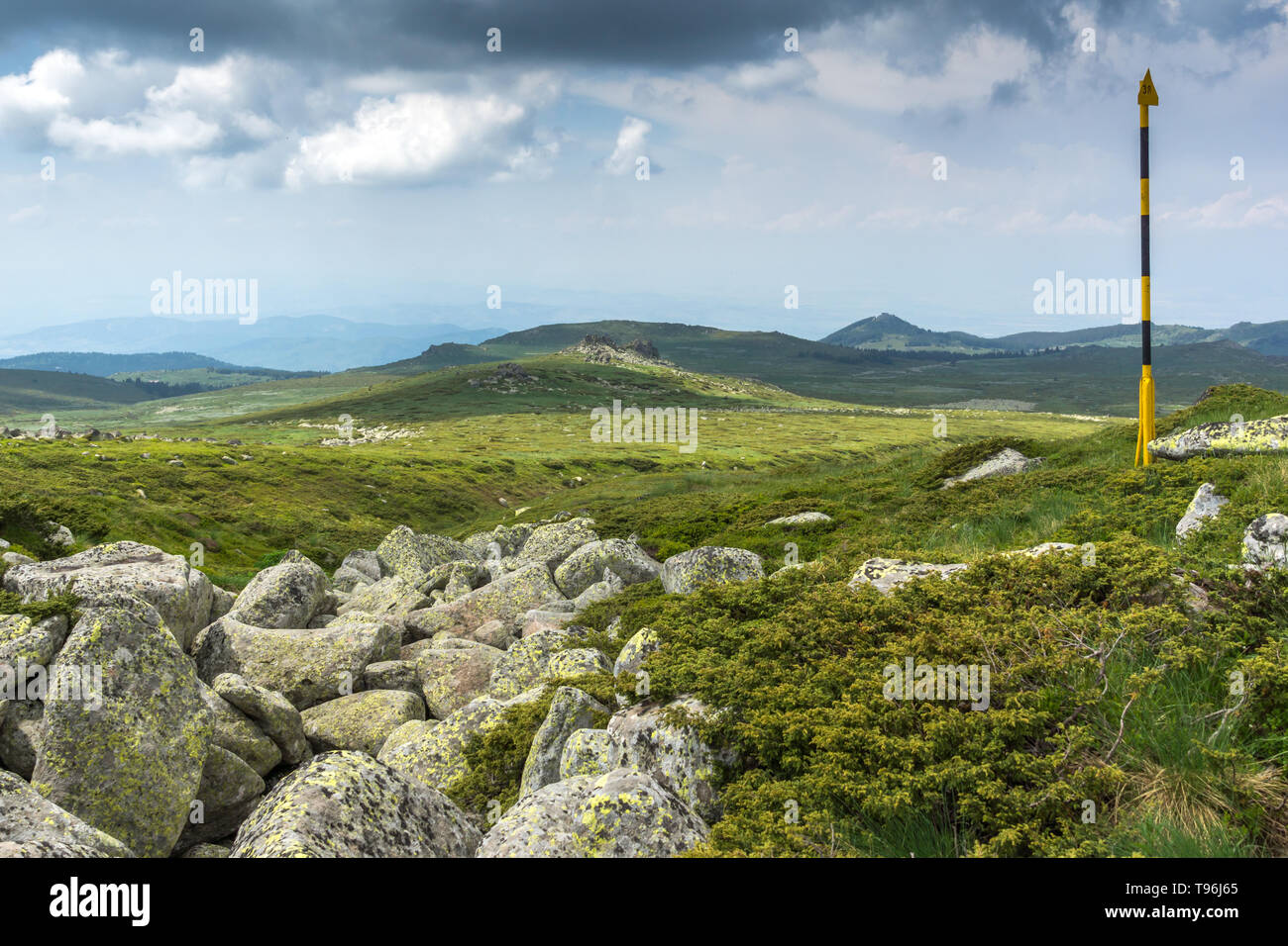 Green hills of Vitosha Mountain near Cherni Vrah Peak, Sofia City ...