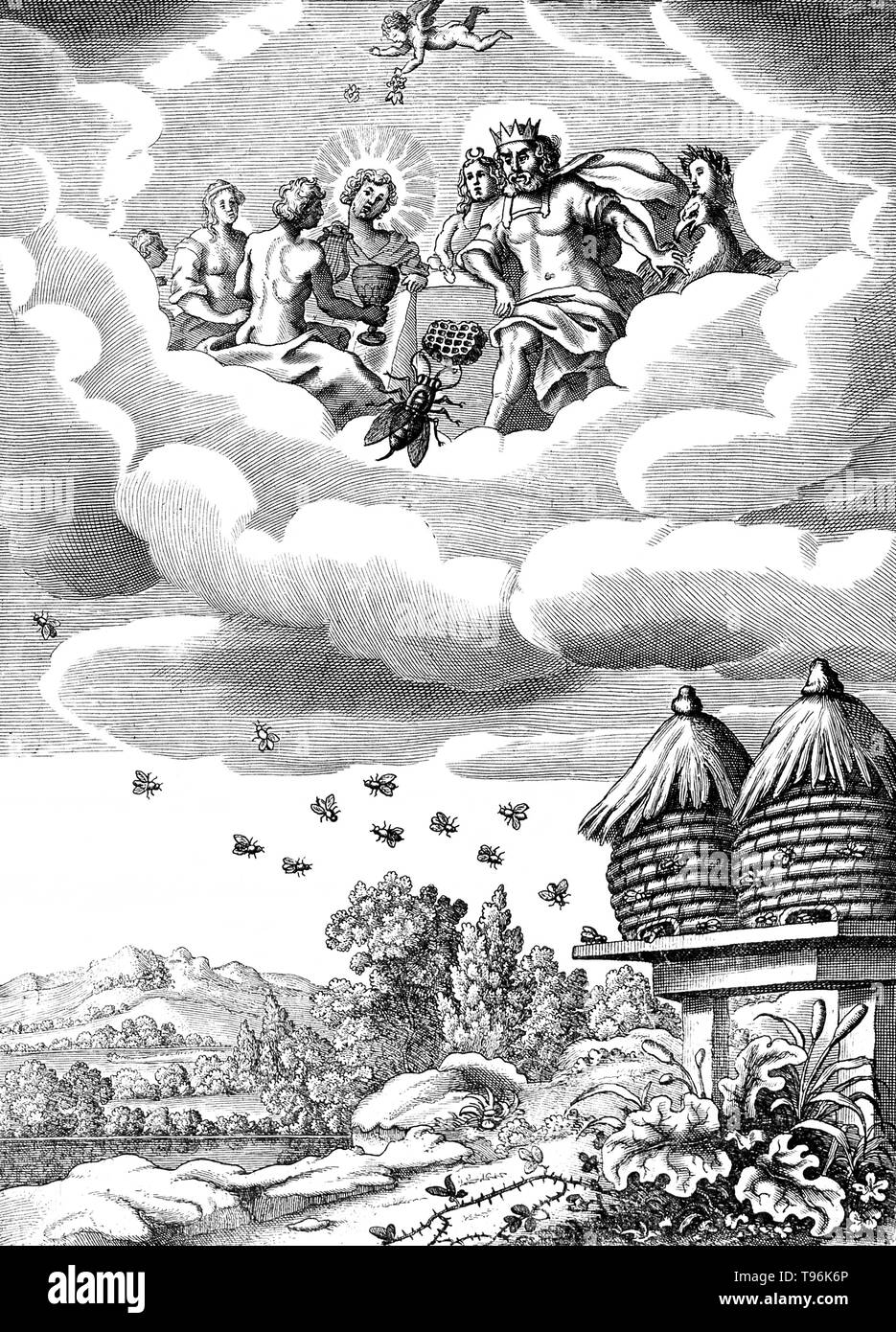 Above, a bee is working on a honeycomb before the critical eyes of a king and his entourage in the clouds, below, bees are flying to and fro two wicker beehives; illustration of a fable. A beehive is an enclosed structure man-made in which some honey bee species of the subgenus Apis live and raise their young. Several species of Apis live in colonies, but for honey production the western honey bee (Apis mellifera) and the eastern honey bee (Apis cerana) are the main species kept in hives. Stock Photo
