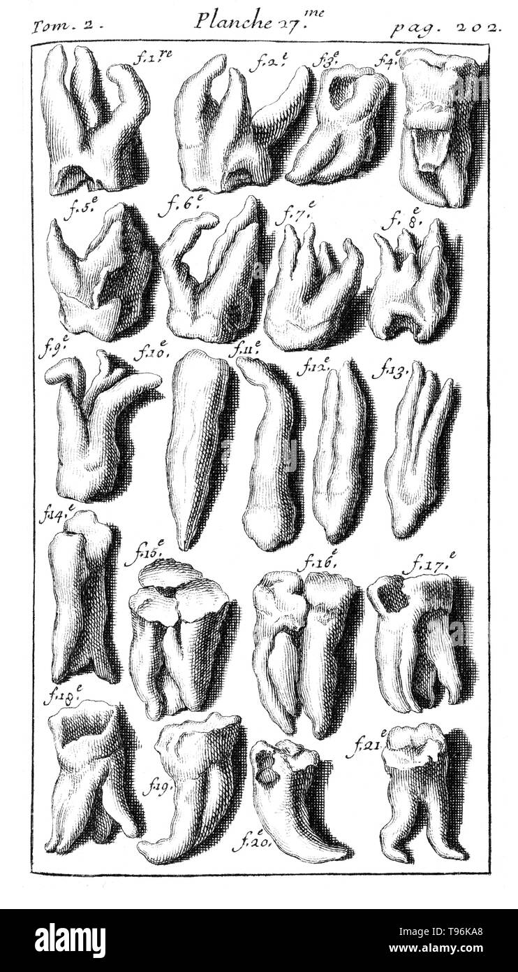 Teeth. Tome 2. Planche 27. Page 202. Pierre Fauchard (1678 - March 22, 1761) was a French physician, credited as being the father of modern dentistry. He is widely known for writing the first complete scientific description of dentistry, Le Chirurgien Dentiste (The Surgeon Dentist), published in 1728. Stock Photo