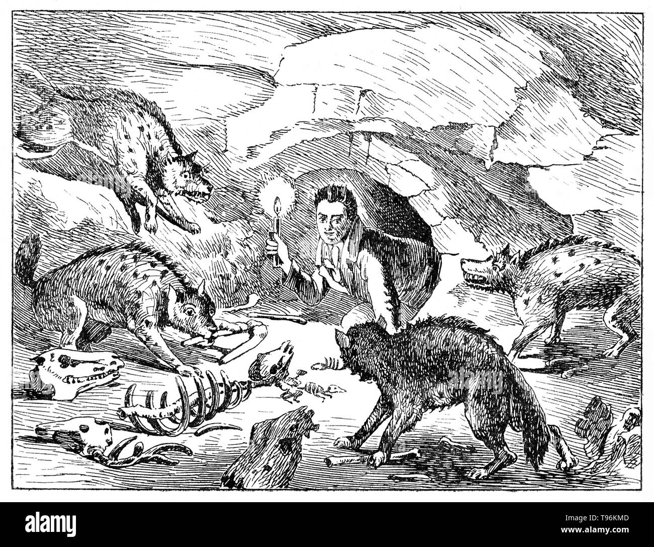 William Conybeare drew this cartoon of Buckland poking his head into a prehistoric hyena den in 1822. Buckland analyzed the cave and its contents in December 1821: he determined that the bones were from the remains of animals brought into the cave by hyenas who had been using it for a den, and not a result of the Biblical flood floating animal remains in from distant lands as he had first thought. Stock Photo