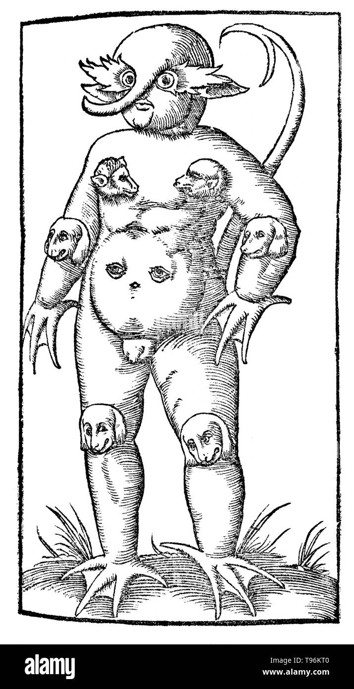 The Monster of Krakow (or Cracow), was a deformed child reportedly born in 1543 or 1547 (as reported by Sebastian Münster, Cosmographia) with barking dogs' heads mounted on its elbows, chest and knees - the standard identifier of demonic handiwork. It reputedly died four hours after its birth, but not without warning, 'Watch, the Lord cometh. Stock Photo