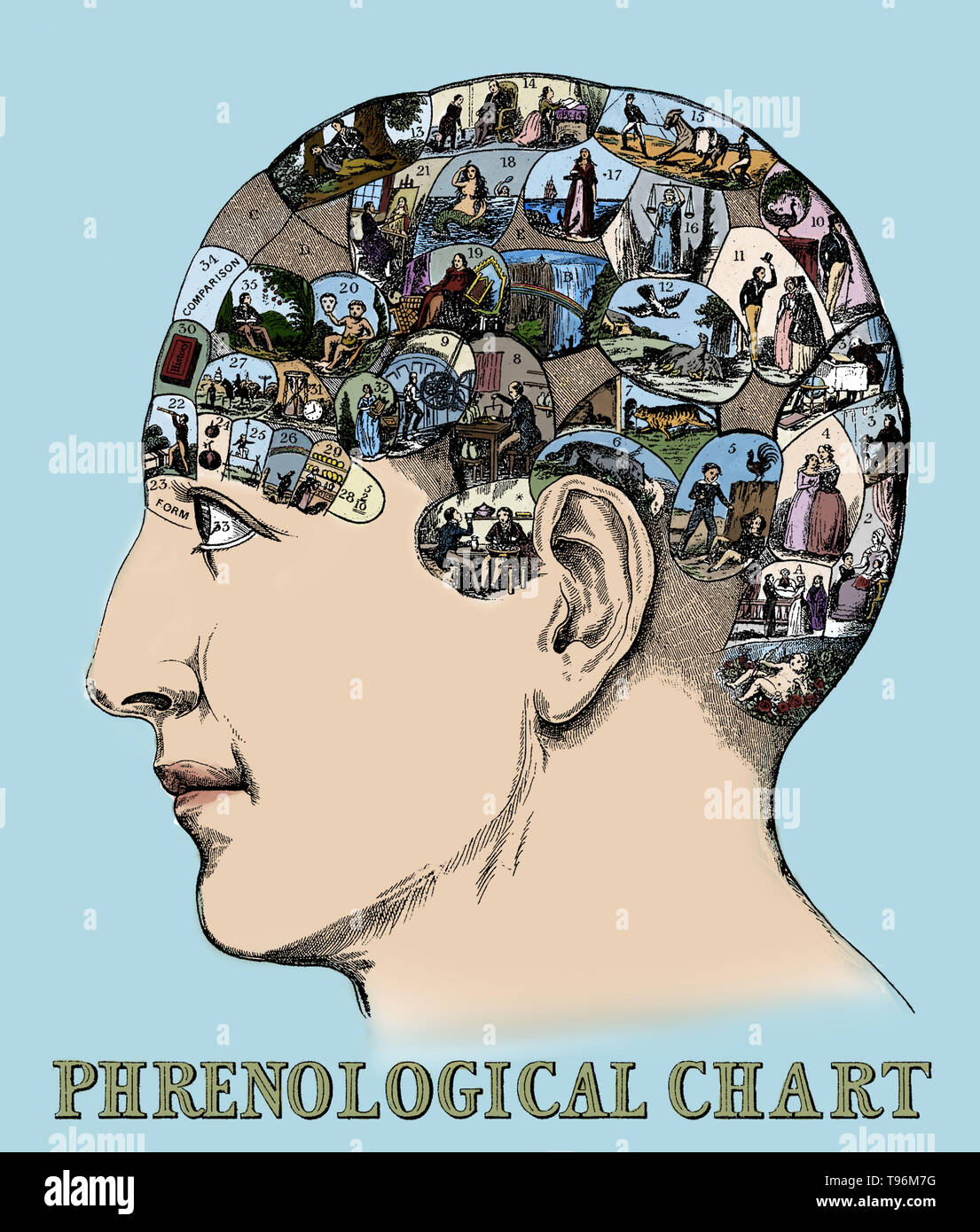 Entitled: 'Head containing over thirty images symbolizing the phrenological faculties by Drs. Gall & Spurzheim.' Phrenology is a pseudoscience primarily focused on measurements of the human skull, based on the concept that the brain is the organ of the mind, and that certain brain areas have localized, specific functions or modules. Although both of those ideas have a basis in reality, phrenology extrapolated beyond empirical knowledge in a way that departed from science. Stock Photo