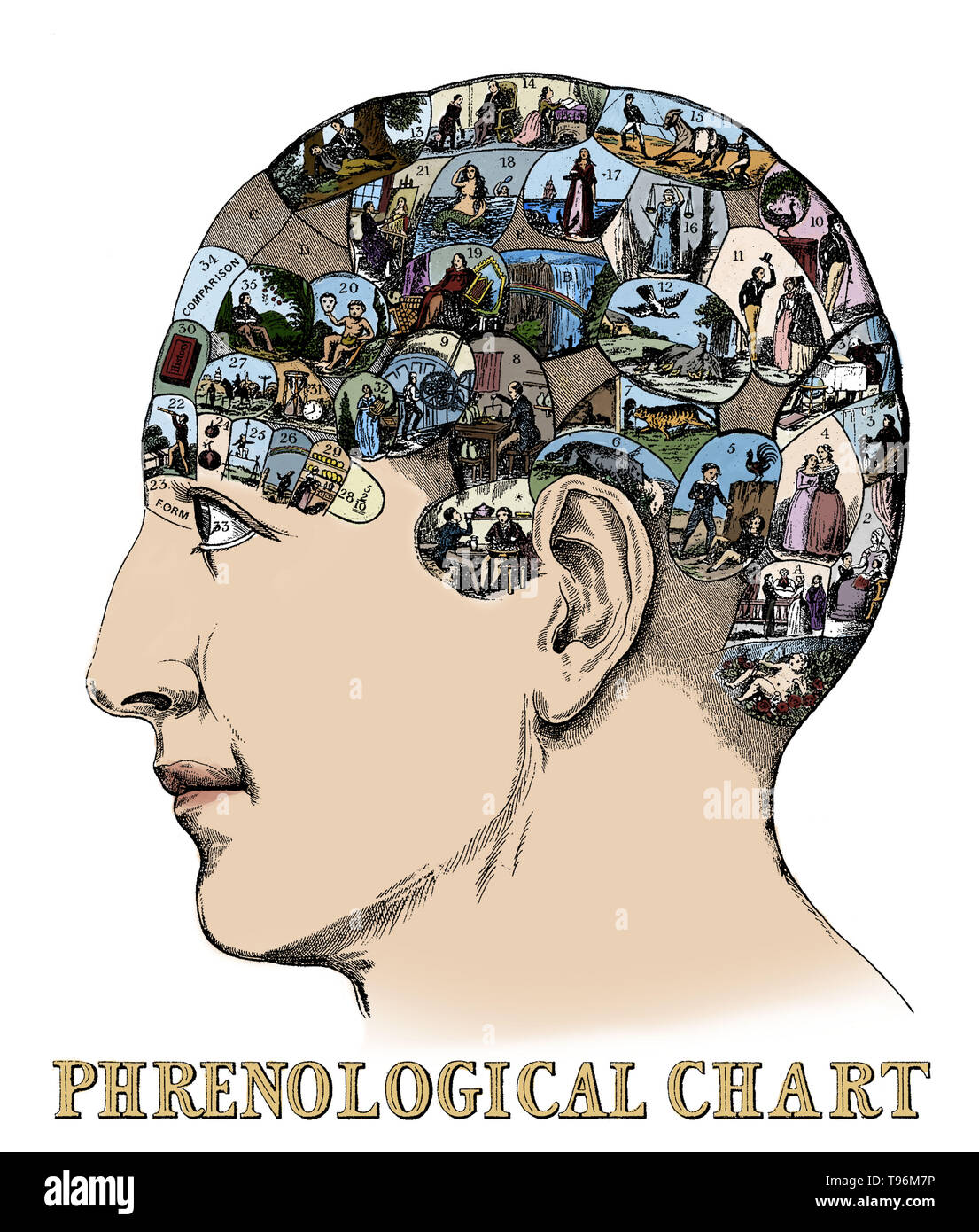 Entitled: 'Head containing over thirty images symbolizing the phrenological faculties by Drs. Gall & Spurzheim.' Phrenology is a pseudoscience primarily focused on measurements of the human skull, based on the concept that the brain is the organ of the mind, and that certain brain areas have localized, specific functions or modules. Although both of those ideas have a basis in reality, phrenology extrapolated beyond empirical knowledge in a way that departed from science. Stock Photo