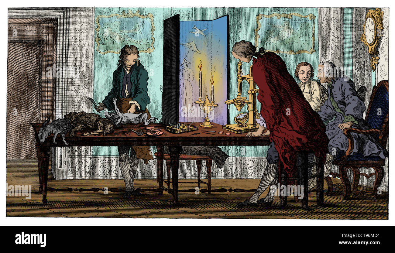Buffon and his friends studying mammalian generation by means of the microscope. Georges Louis Leclerc, Comte de Buffon (September 7, 1707 - April 16, 1788) was a French naturalist, mathematician, cosmologist, and encyclopedic author. He epitomizes the revolutionary changes that the Enlightenment brought to the study of nature. Stock Photo