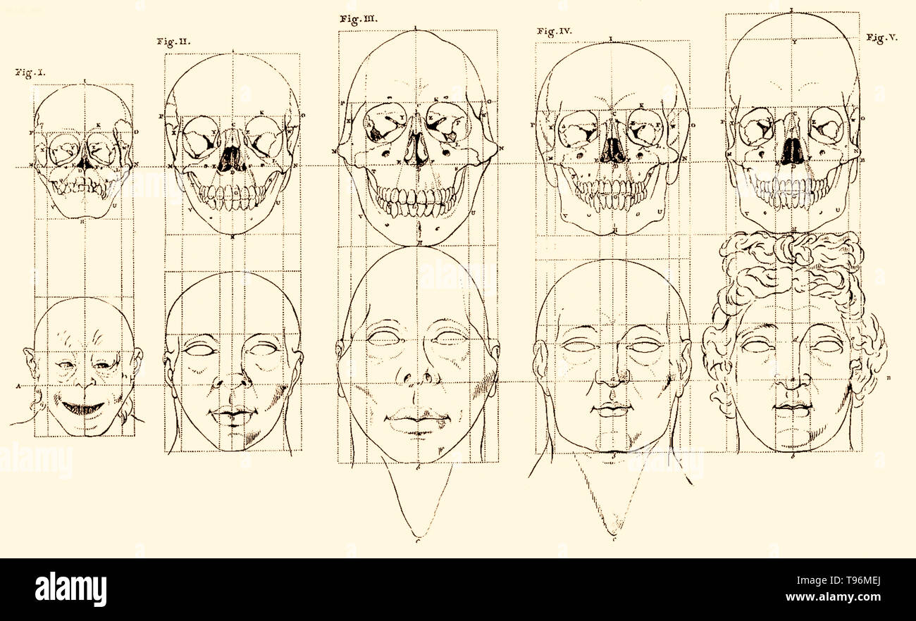 Facial Angles refers to the content of two lectures by Petrus Camper on August 1st and 8th in 1770 to the Amsterdam Drawing Academy. Camper's main points in his first lecture were that classical drawing lessons from the time of Vitruvius, including the teachings of Dürer and Perreault, were based on an incorrect assumption that the human head was oval at all ages, and he proceeded to prove this with his dimensions of the skulls. Stock Photo