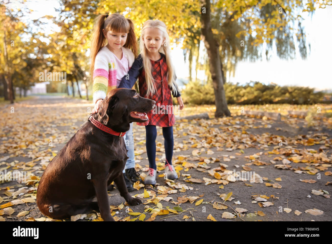 Cute little girls with dog in autumn park Stock Photo - Alamy