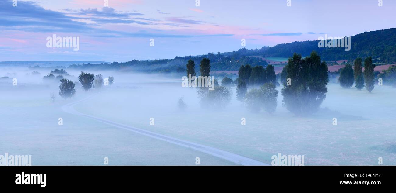 Field landscape with trees at dawn, trees rising out of the fog, Unstruttal, Saxony-Anhalt, Germany Stock Photo