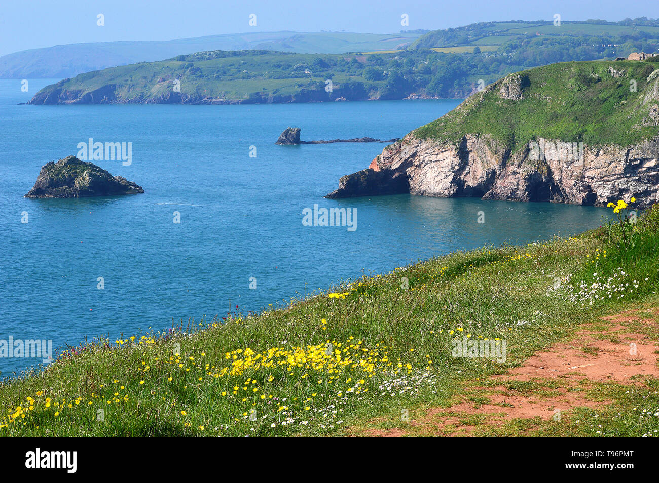 South Coast of Devon Cliffs by the Sea Stock Photo