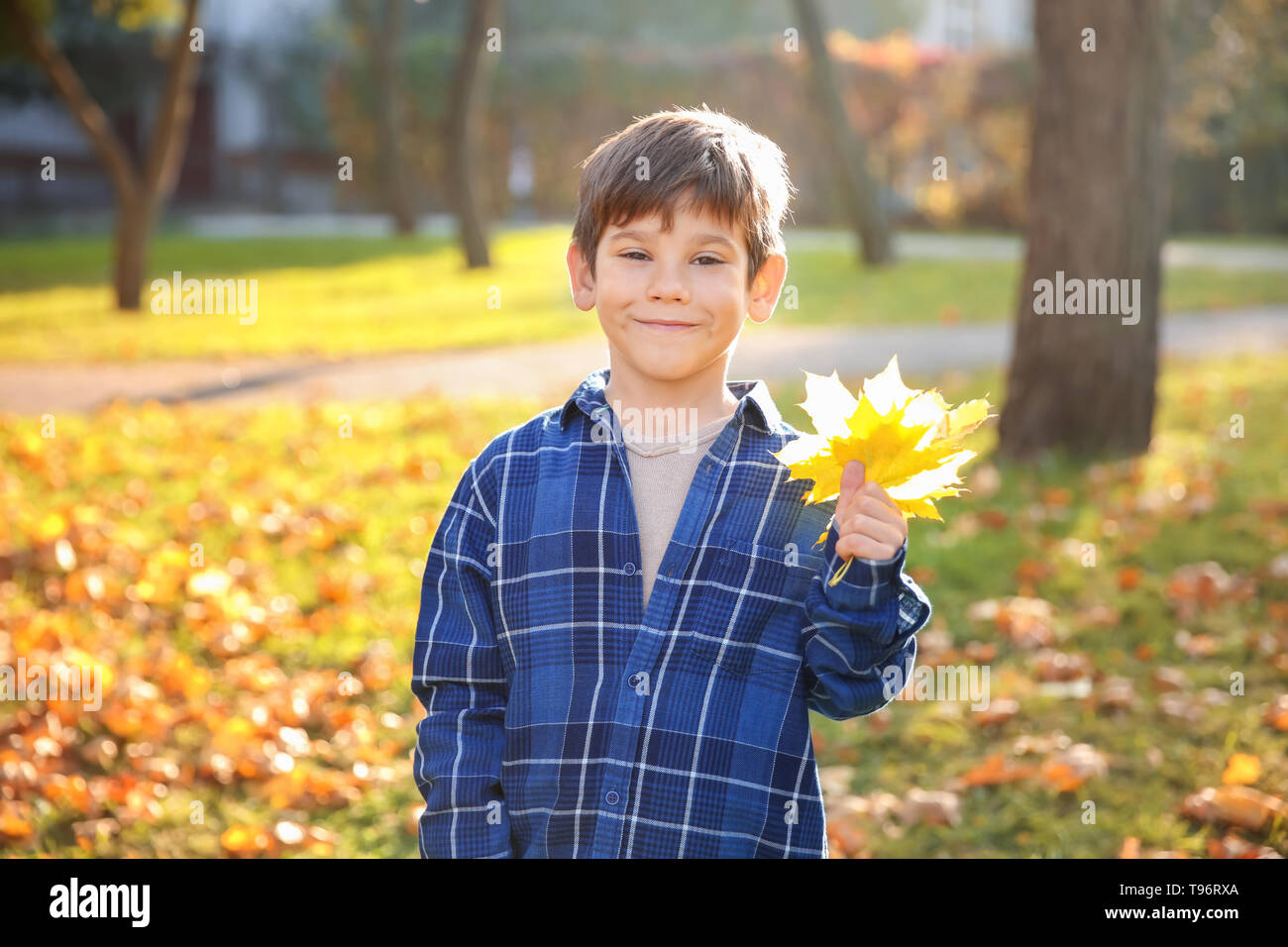 Cute boy with leaves in autumn park Stock Photo - Alamy