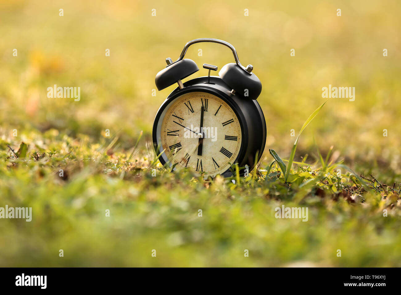 Alarm clock with Rome numbers on grass outdoors Stock Photo - Alamy