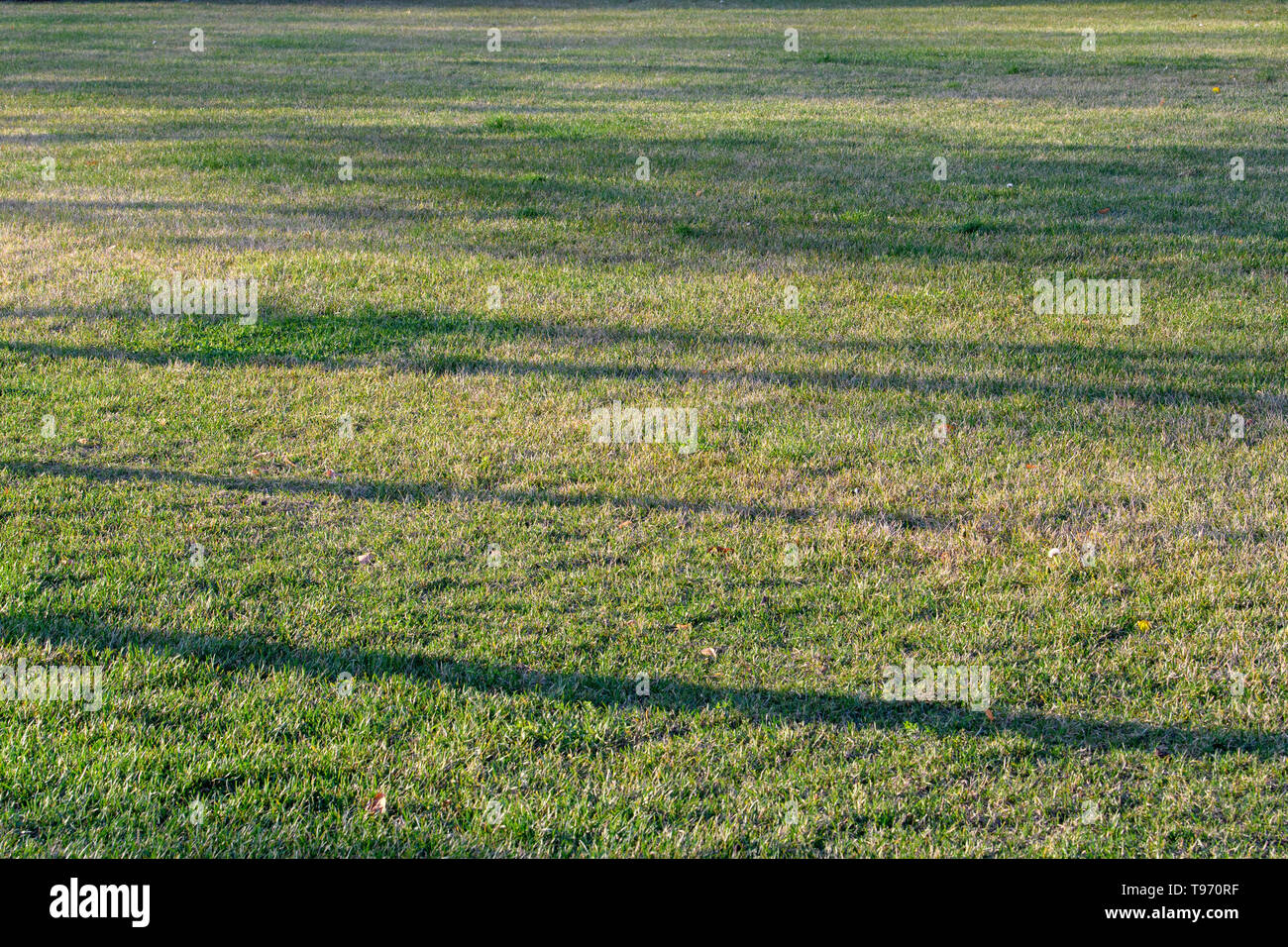 Shadows grass lawn texture hi-res stock photography and images - Alamy
