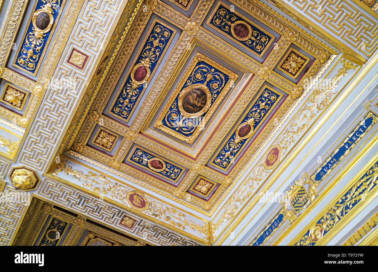 Ceiling in Chateau d'Ancy Le Franc Stock Photo