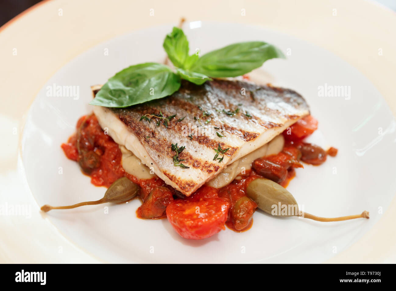 Sea bass fillet with tomato sauce and capers in porcelain plate Stock