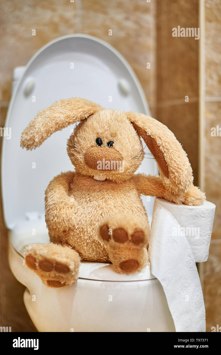 Rabbit toilet online