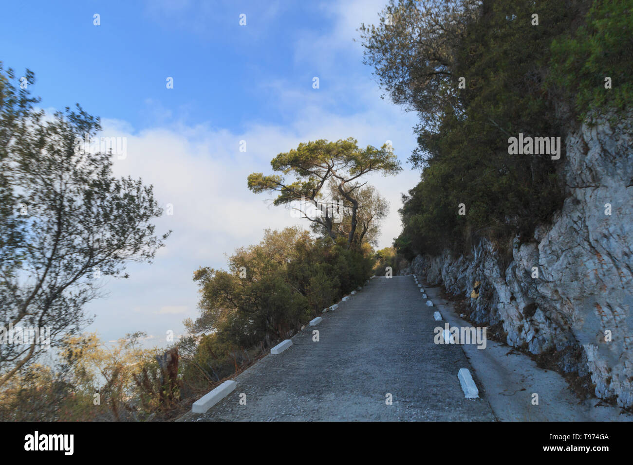 Upper rock gibraltar hires stock photography and images Alamy