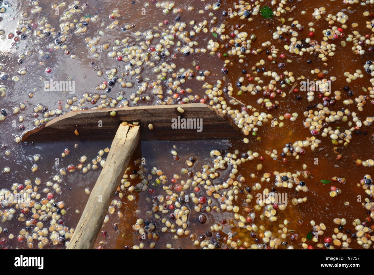 Coffee rake hi-res stock photography and images - Alamy