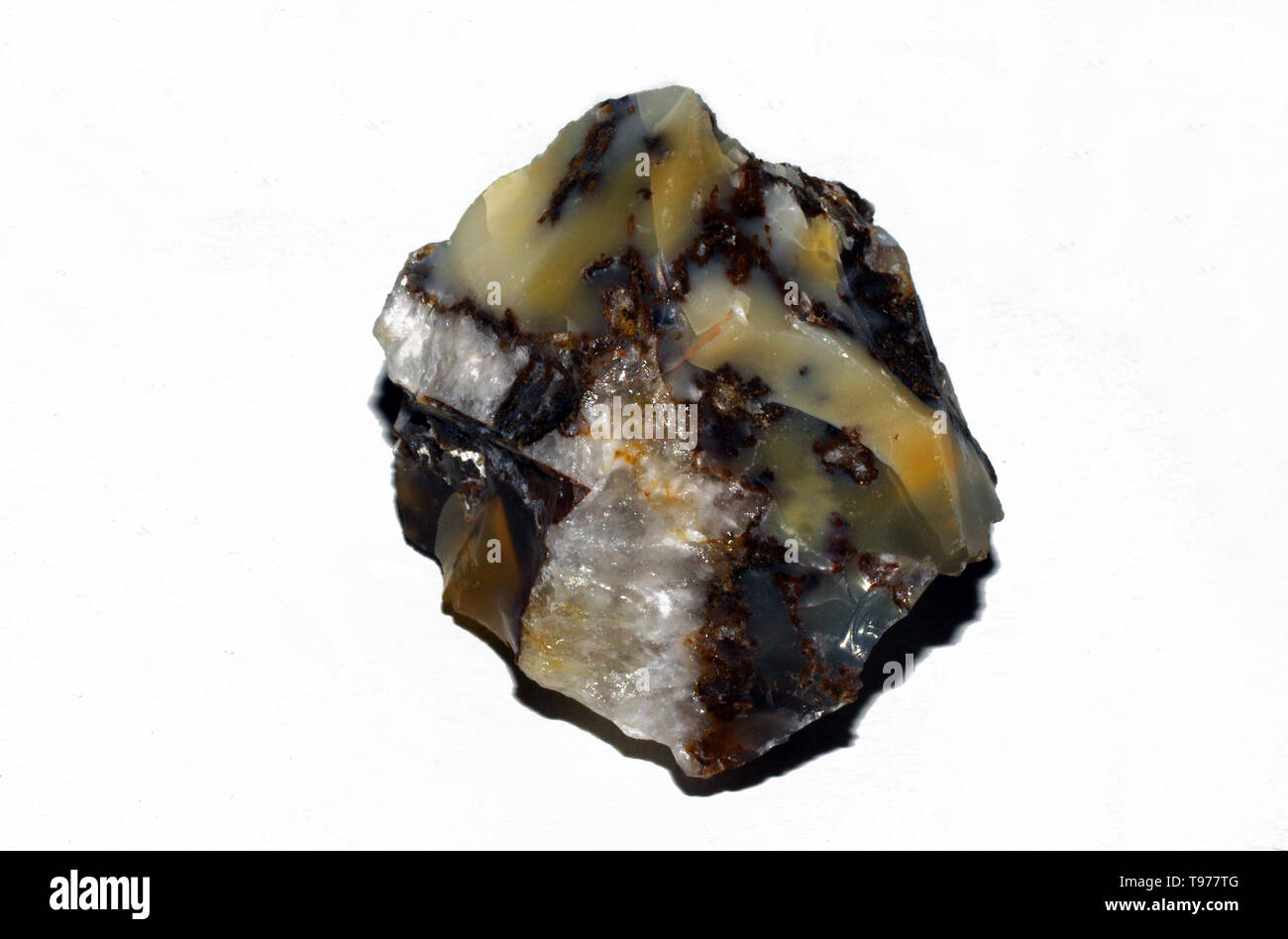 Breccia rock of Madagascar isolated close-up Stock Photo