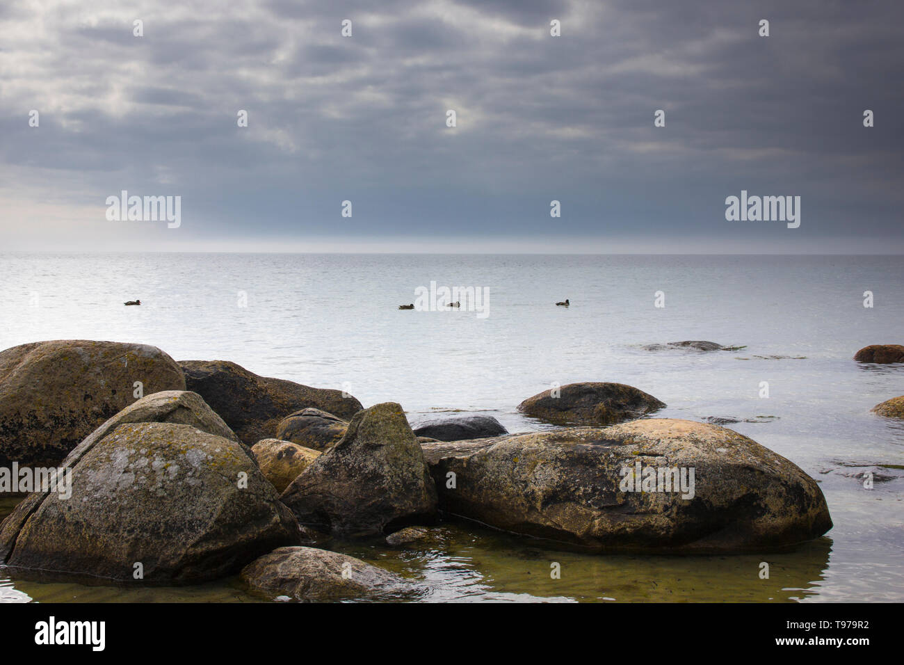Beach In Scania High Resolution Stock Photography and Images - Alamy
