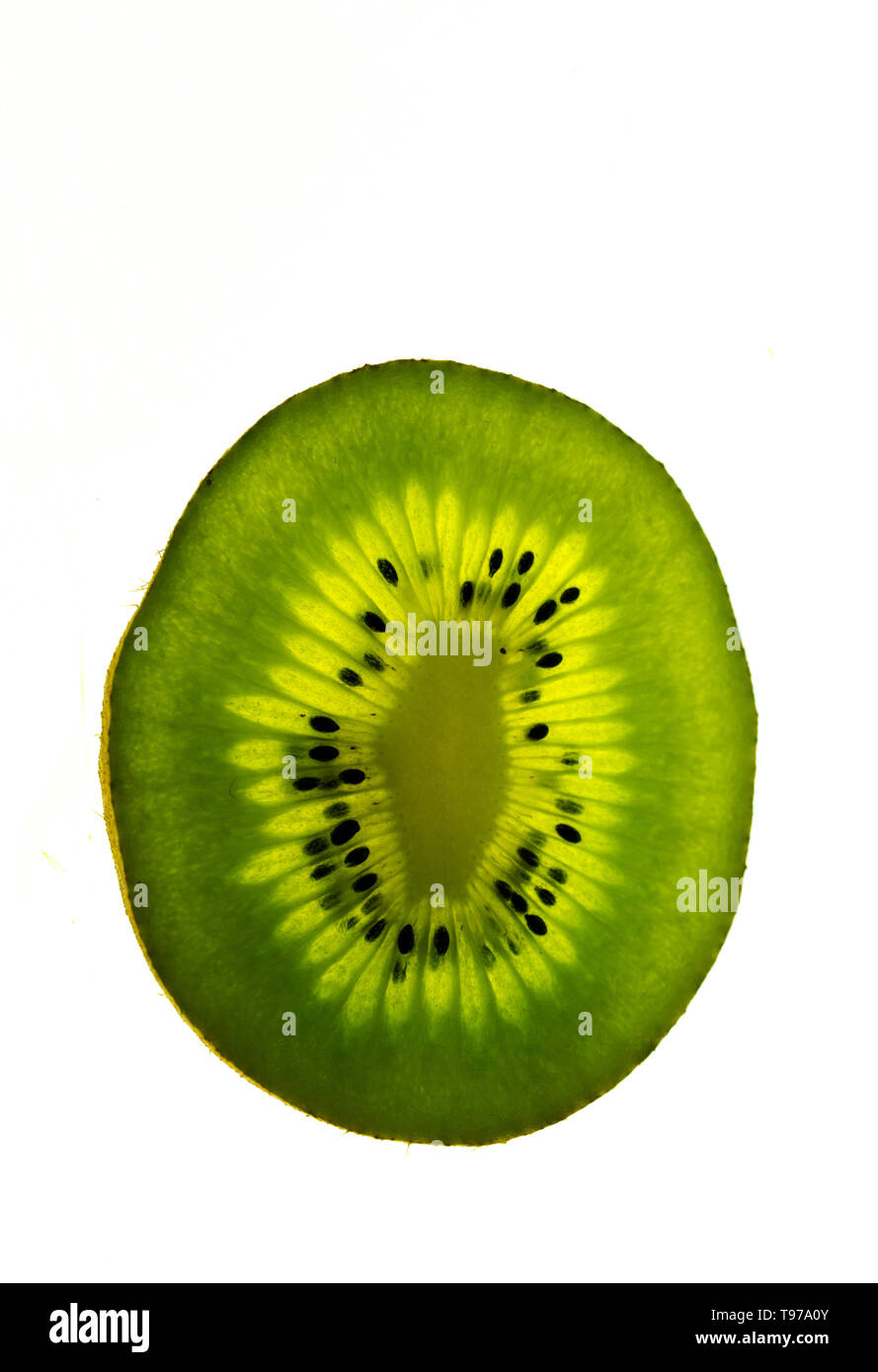close up view of an isolated and backlit green kiwi fruit slice on a ...