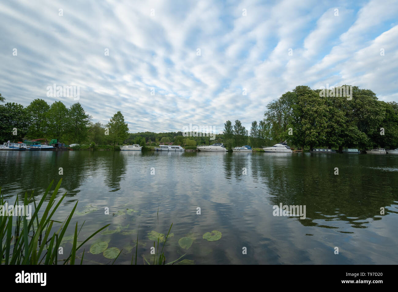 View of the River Thames with moored boats at Pangbourne in Berkshire, UK, during May Stock Photo