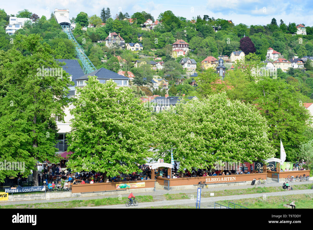 Dresden: district Loschwitz, Suspension Railway, outdoor restaurant Körnergarten, at river Elbe in Loschwitz, Sachsen, Saxony, Germany Stock Photo