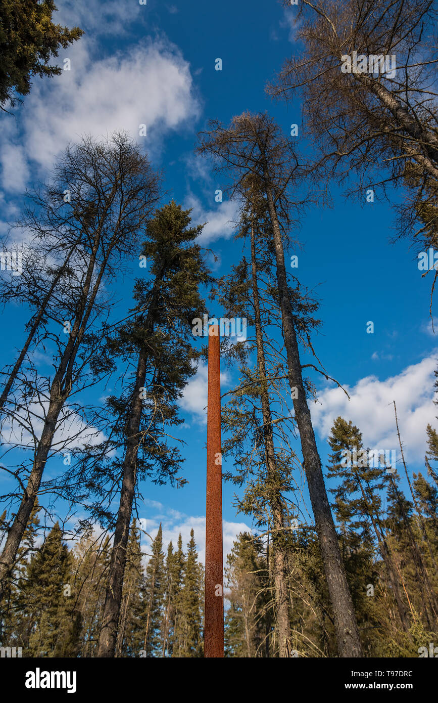 Wellstone Memorial - the pole pictured points to the spot where the plane crashed near Eveleth, Minnesota when Paul Wellstone was campaigning in 2002 Stock Photo