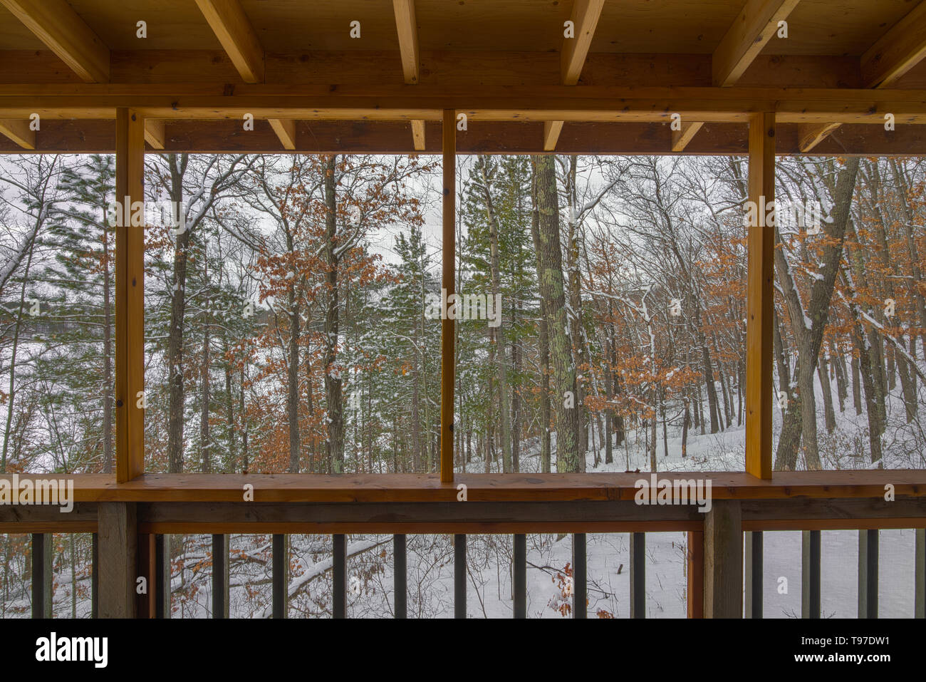 Beautiful snowy winter view of a Northwoods mixed forest (deciduous and coniferous) through a screened-in porch on a rustic cabin off a remote lake in Stock Photo