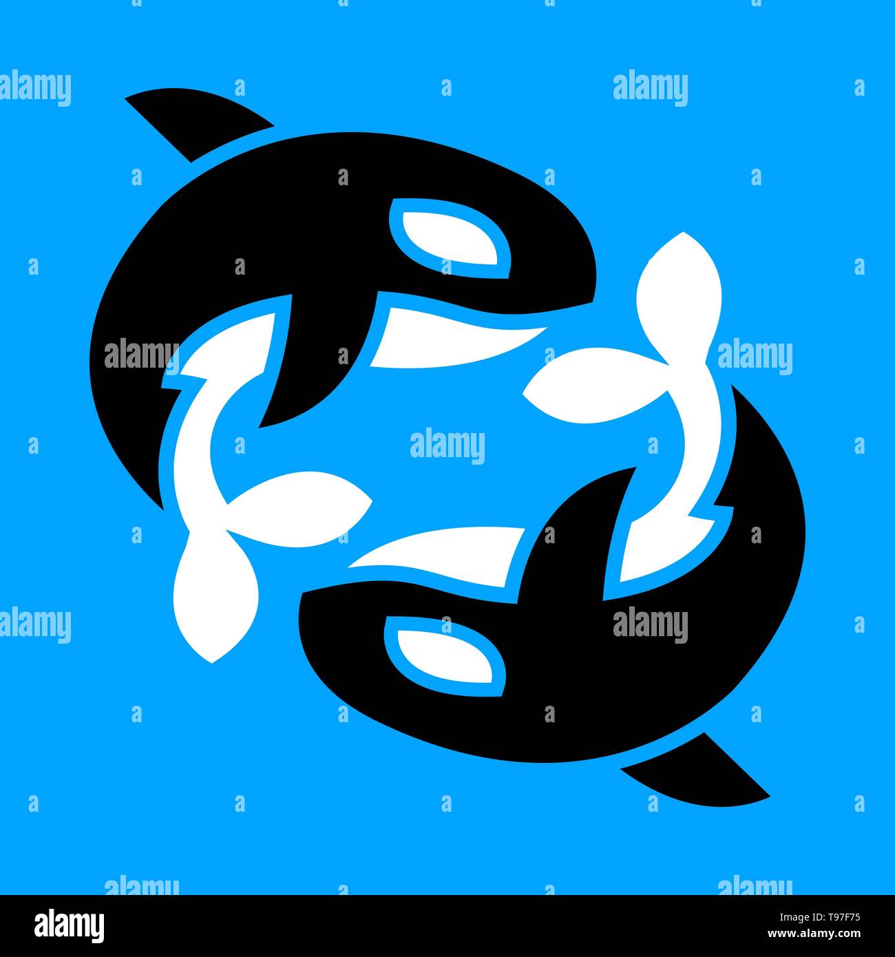 Killer Whale Orca illustration Stock Vector Image & Art - Alamy