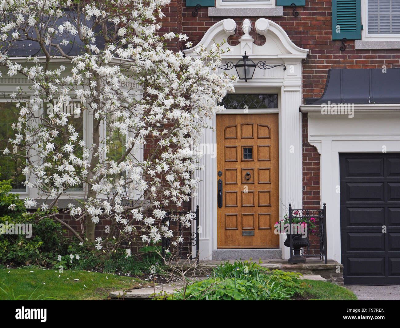 Elegant wooden front door of house with white magnolia tree  in bloom Stock Photo