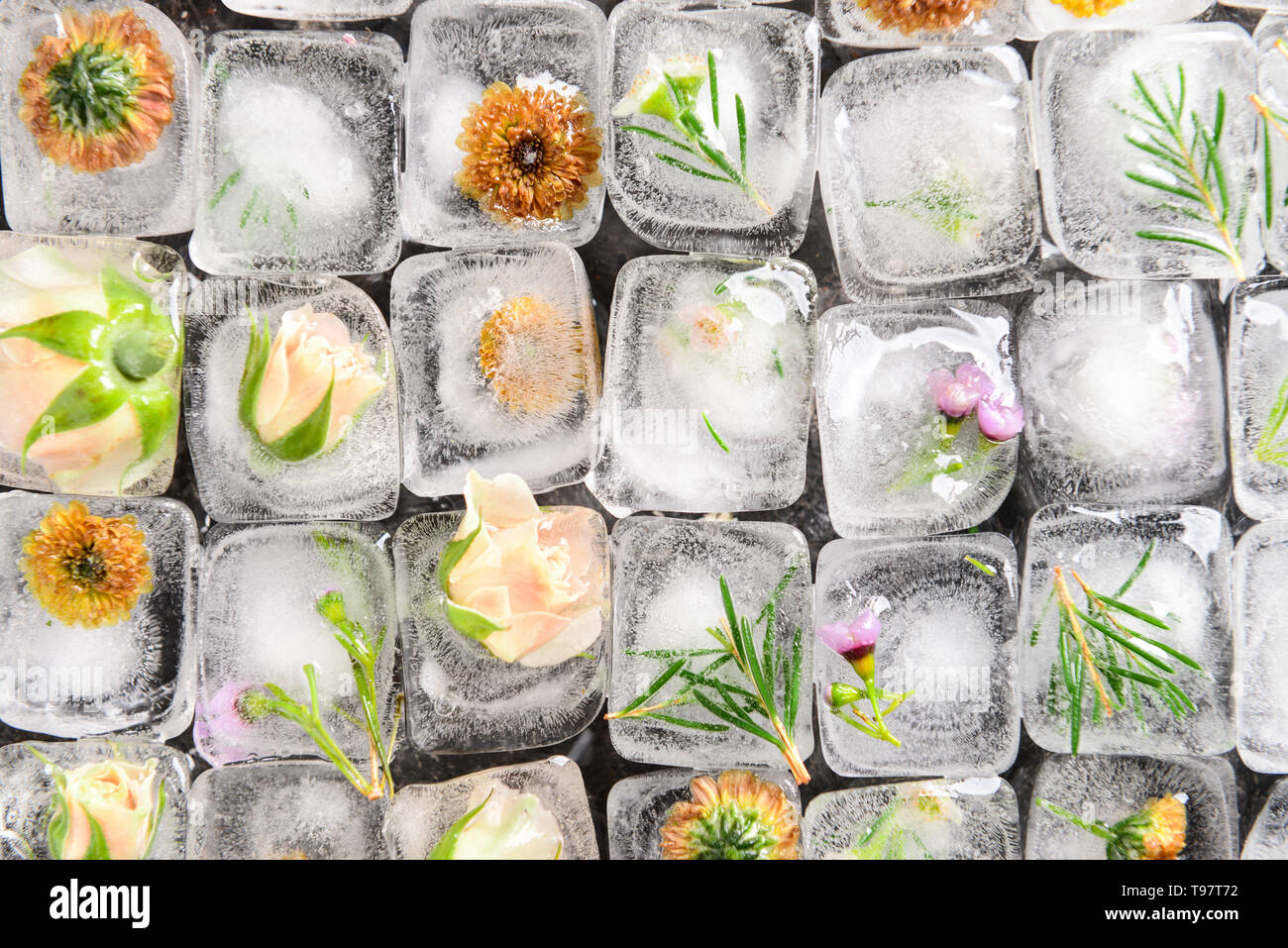 Beautiful flowers frozen in ice cubes, top view Stock Photo Alamy