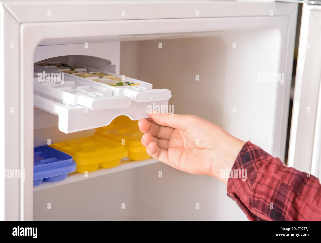 Woman putting tray with citrus fruits frozen in ice cubes into refrigerator  Stock Photo - Alamy